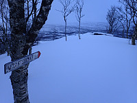ghhanssen_20220301_621e1c02bf4f3.jpg