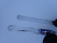 ghhanssen_20220301_621e1c17678c0.jpg