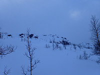 ghhanssen_20220301_621e1c19574f4.jpg
