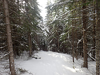 ghhanssen_20220301_621e2b2e30f6b.jpg