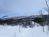 ghhanssen_20220301_621e2b3021ad6.jpg