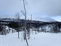 ghhanssen_20220301_621e2b31eeebb.jpg