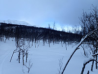 ghhanssen_20220301_621e2b36031fe.jpg