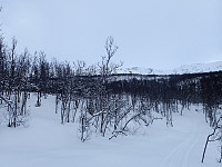 ghhanssen_20220301_621e2b37eaac7.jpg