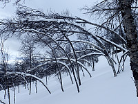 ghhanssen_20220301_621e2b3bde907.jpg