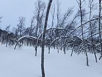 ghhanssen_20220301_621e2b3ddef60.jpg