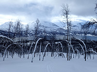 ghhanssen_20220301_621e2b3fd47de.jpg
