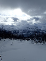 ghhanssen_20220301_621e2b41abf60.jpg