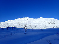 ghhanssen_20220301_621e2d8e34b99.jpg