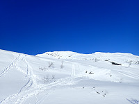 ghhanssen_20220301_621e2d921344b.jpg