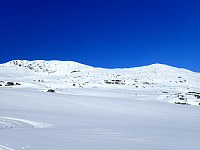 ghhanssen_20220301_621e2d97a309c.jpg
