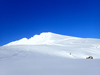 ghhanssen_20220301_621e2db84ff61.jpg