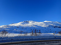 ghhanssen_20220301_621e2e25790d6.jpg
