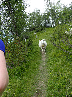 ghhanssen_20220302_621f667bb66ae.jpg