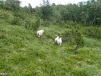 ghhanssen_20220302_621f667cb5dc0.jpg