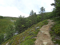 ghhanssen_20220302_621f667eadde4.jpg