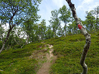 ghhanssen_20220302_621f66813bff9.jpg