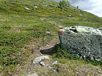 ghhanssen_20220302_621f668224160.jpg