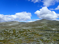 ghhanssen_20220302_621f66913c315.jpg