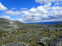 ghhanssen_20220302_621f6697c8929.jpg