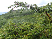 ghhanssen_20220302_621f66a8884e1.jpg