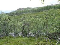 ghhanssen_20220302_621f66a94e8ef.jpg