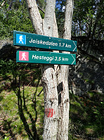 ghhanssen_20220302_621f888cd661b.jpg