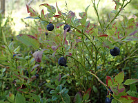 ghhanssen_20220302_621f888db6b11.jpg