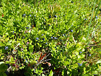 ghhanssen_20220302_621f888e7eb8a.jpg