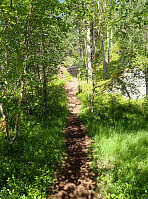 ghhanssen_20220302_621f888f69964.jpg