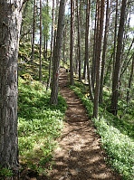 ghhanssen_20220302_621f889078170.jpg