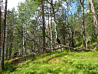 ghhanssen_20220302_621f88916aff3.jpg