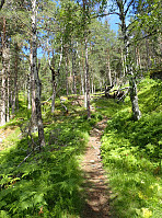 ghhanssen_20220302_621f889251422.jpg