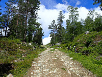 ghhanssen_20220302_621f88980edc9.jpg