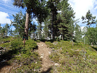 ghhanssen_20220302_621f8898ec61f.jpg