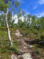 ghhanssen_20220302_621f8899ce5c3.jpg