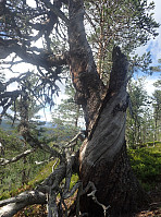 ghhanssen_20220302_621f88a53b3c6.jpg