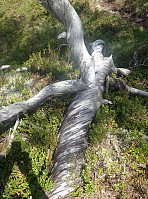 ghhanssen_20220302_621f88a6297b0.jpg