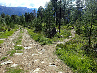 ghhanssen_20220302_621f88a819cf7.jpg