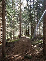 ghhanssen_20220302_621f88a8eb614.jpg