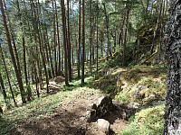 ghhanssen_20220302_621f88abafa18.jpg