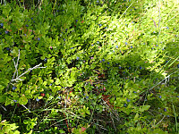 ghhanssen_20220302_621f88ac7532f.jpg