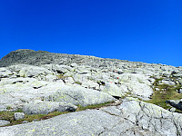 ghhanssen_20220302_621f96c422651.jpg