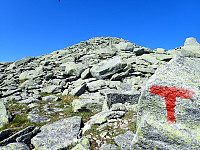 ghhanssen_20220302_621f96c5d88ca.jpg