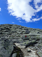 ghhanssen_20220302_621f96f4be2a6.jpg