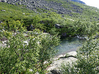 ghhanssen_20220302_621f970824758.jpg