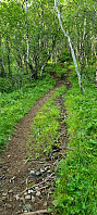 ghhanssen_20220726_62dfc3f6ee89b.jpg