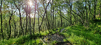 ghhanssen_20220726_62dfc3f9c41a4.jpg