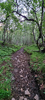 ghhanssen_20220726_62dfc42c7d432.jpg