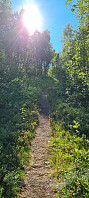ghhanssen_20220906_63171d6f16a54.jpg